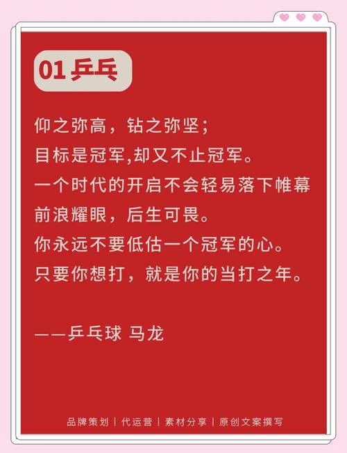 中国奥运冠军语录，中国奥运冠军名言警句？